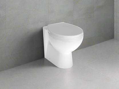 Warwick Back To Wall Toilet and Seat