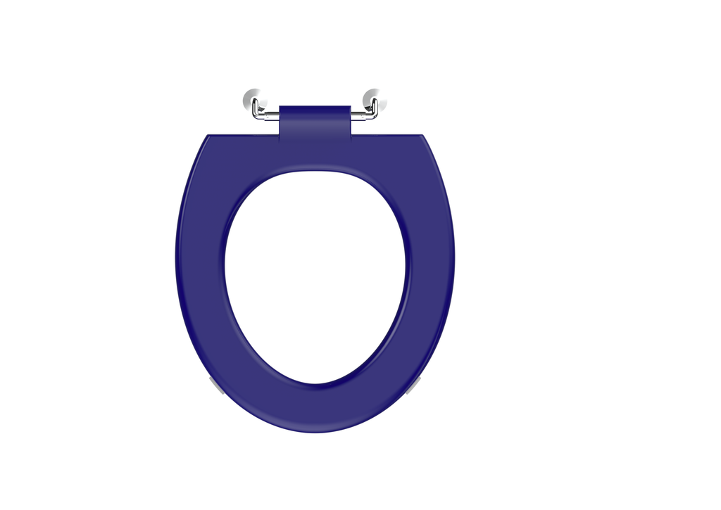 i.Care Heavy Duty Ring Seat (Blue) - The Bathroom Quarter