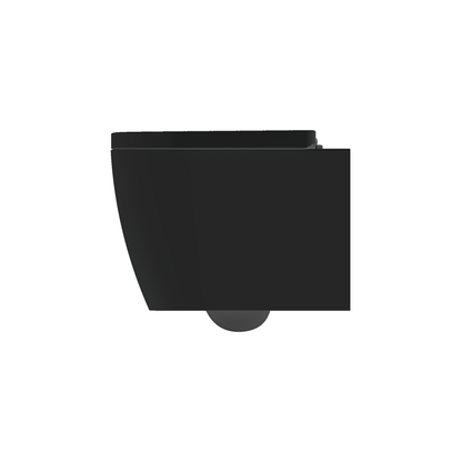 Rimless Wall Hung Pan (Matt Black)