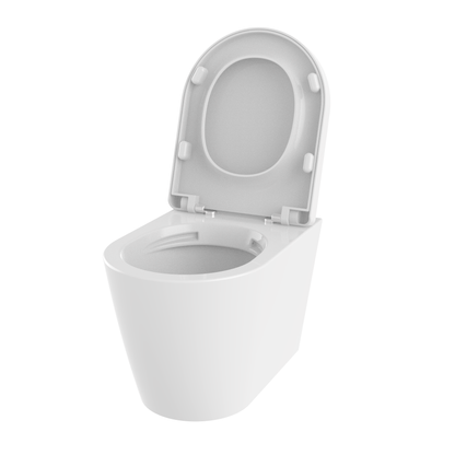 Rimless Wall Hung Pan & Seat - Barford